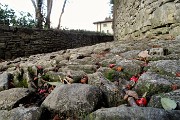 43 Fondo acciottolato della Via dello Scorlazzone